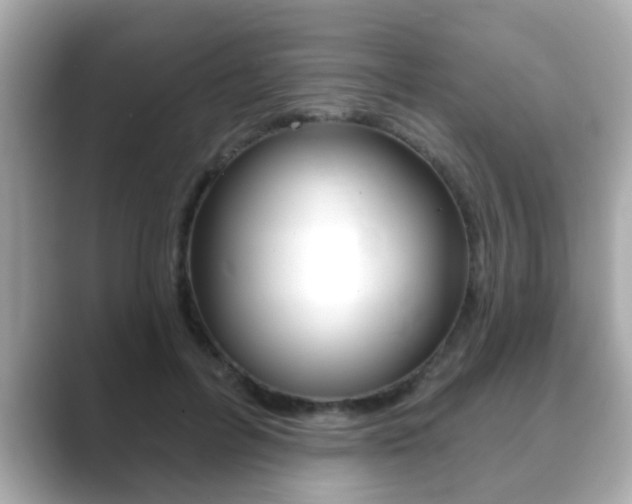 X0000089680600200706210815