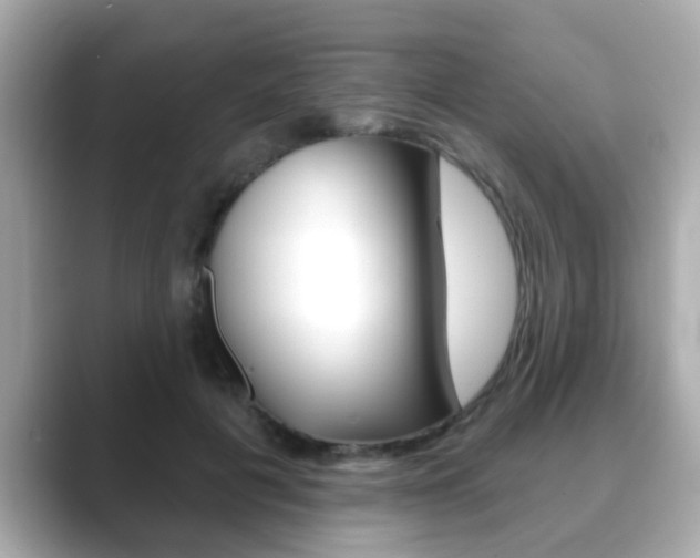 X0000089680601200706210815