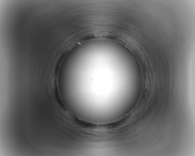 X0000089680604200706210815