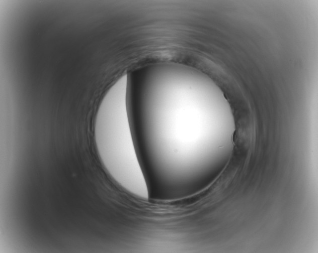 X0000089680605200706210815