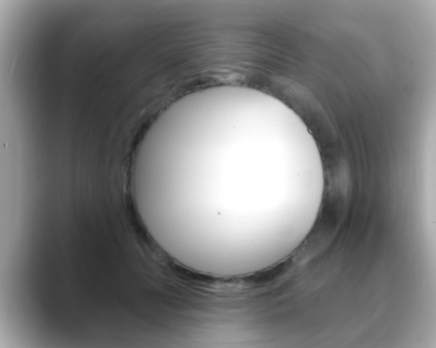 X0000089680606200706210815