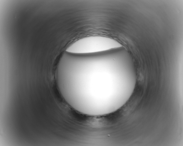 X0000089680607200706210815