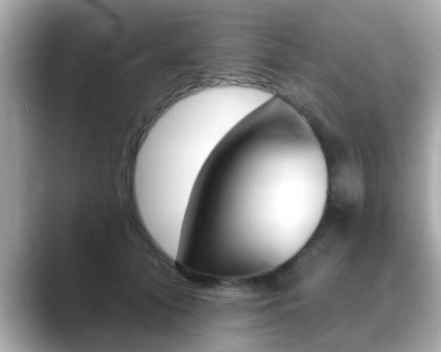 X0000089680608200706210815