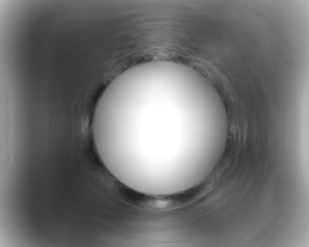 X0000089680610200706210815