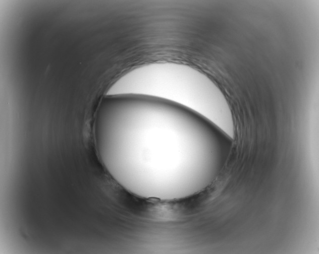 X0000089680611200706210815