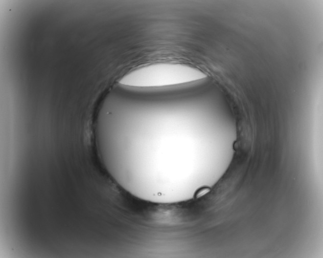 X0000089680612200706210815
