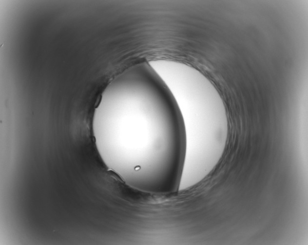 X0000089680613200706210815