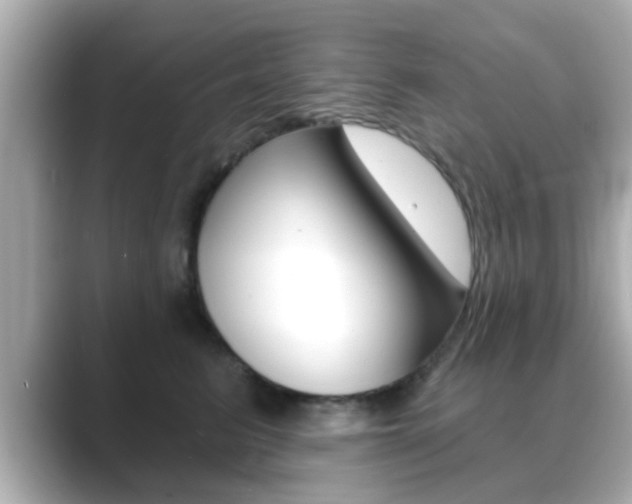 X0000089680615200706210815