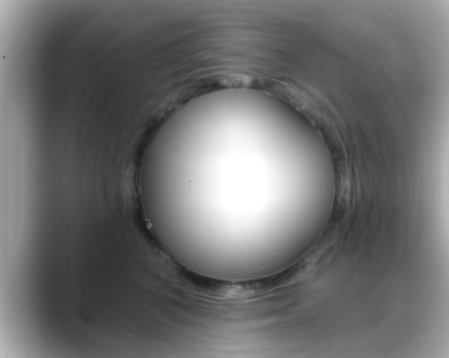 X0000089680616200706210815