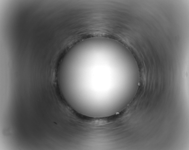X0000089680619200706210815