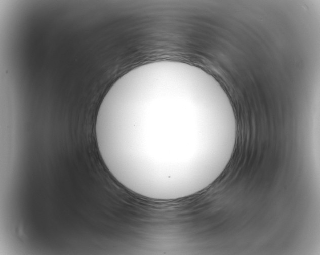 X0000089680621200706210815