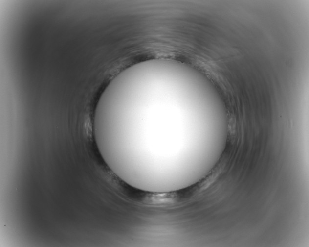 X0000089680622200706210815