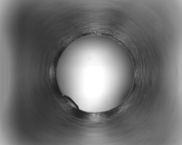 X0000089680623200706210815