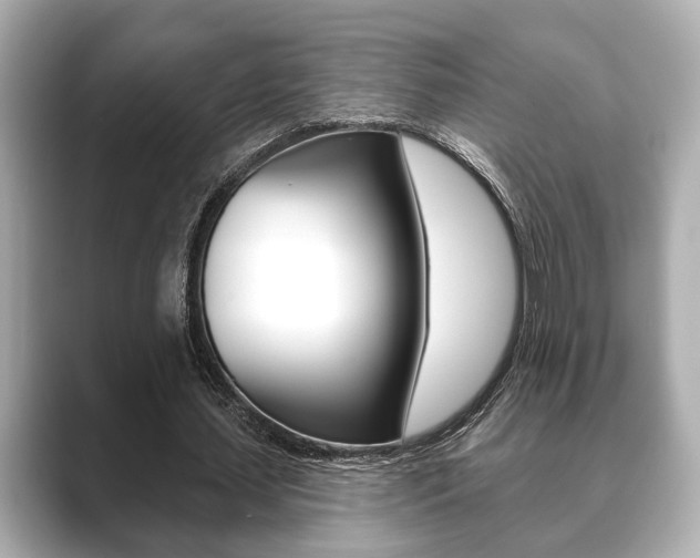 X0000089680627200706210814