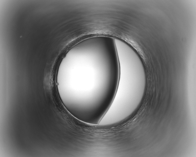 X0000089680628200706210815