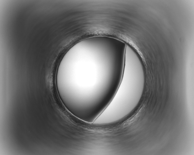 X0000089680629200706210815