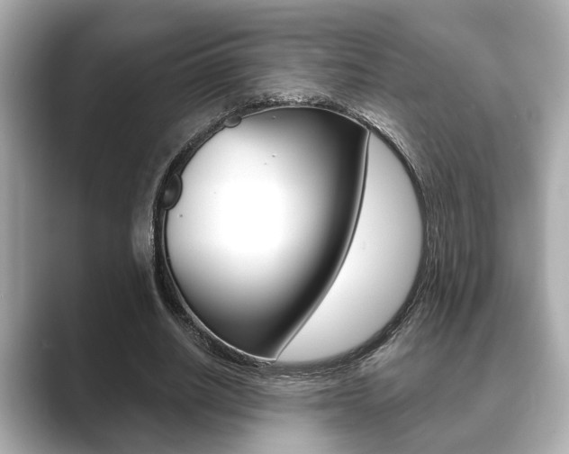 X0000089680630200706210815