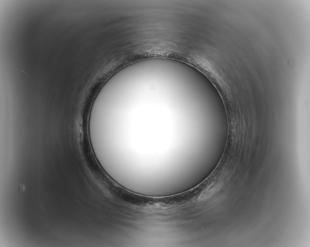 X0000089680634200706210815