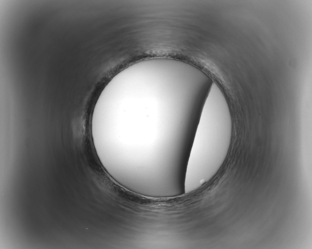 X0000089680636200706210815