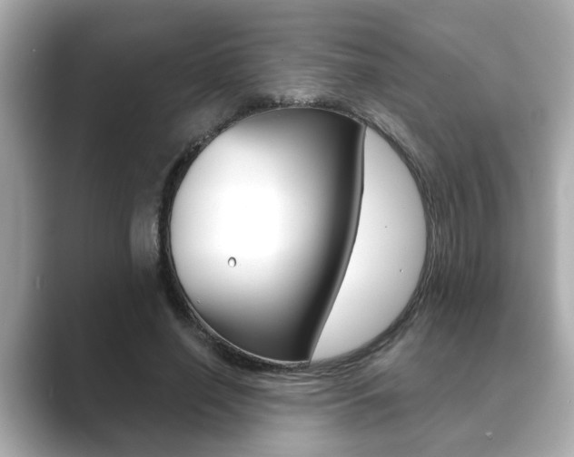 X0000089680638200706210815