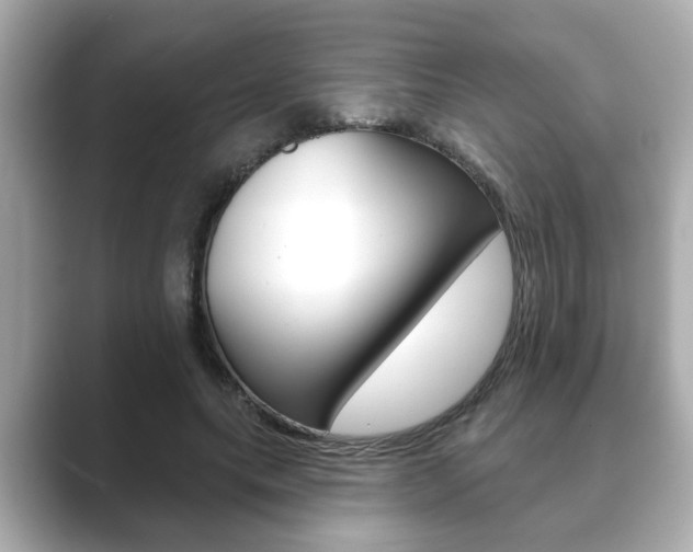 X0000089680639200706210815