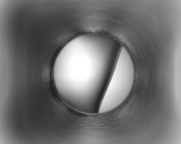 X0000089680640200706210815
