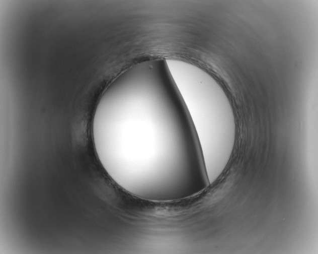 X0000089680641200706210815