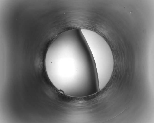 X0000089680642200706210815