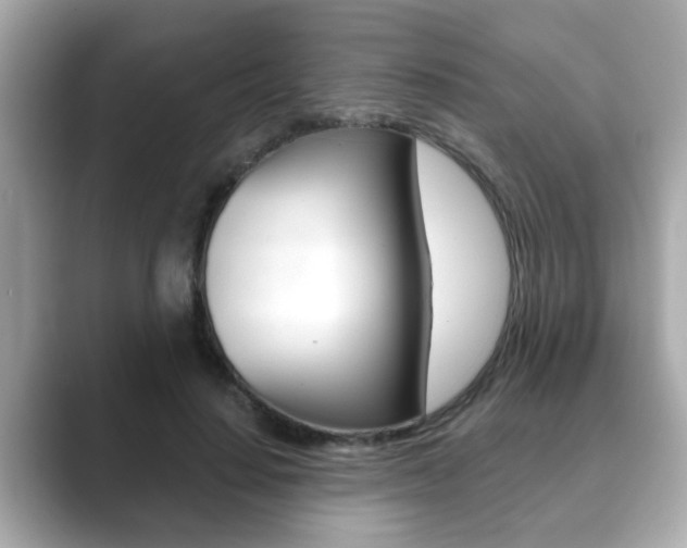 X0000089680644200706210815