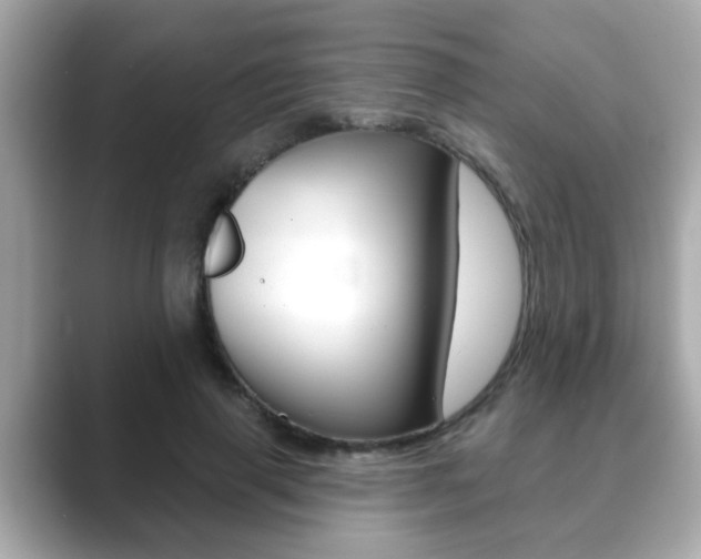 X0000089680645200706210815