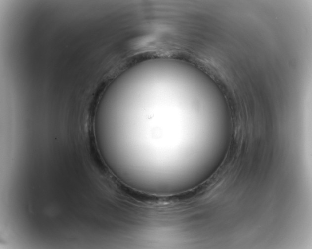 X0000089680647200706210815