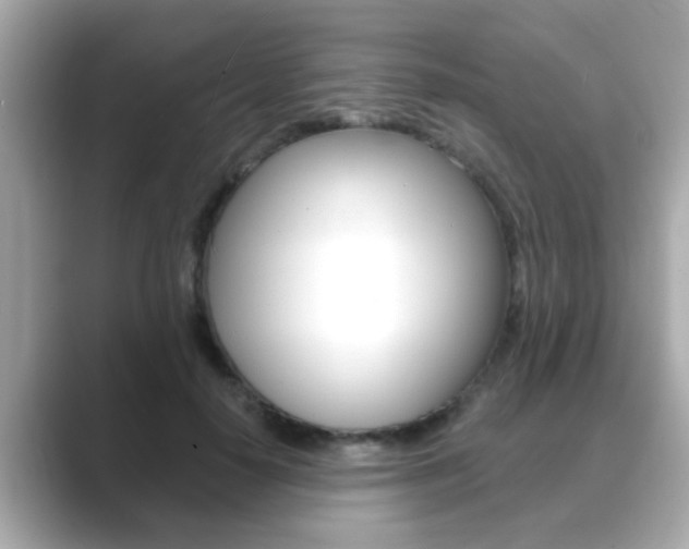 X0000089680650200706210815