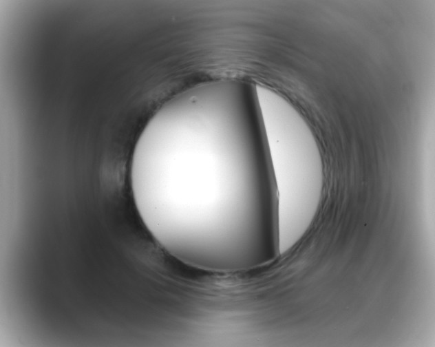 X0000089680652200706210815