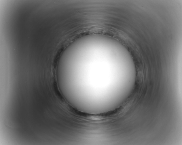 X0000089680654200706210815
