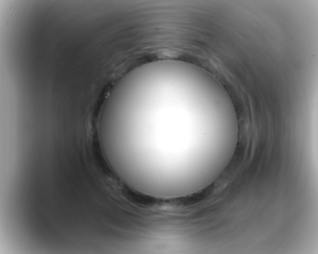 X0000089680655200706210815