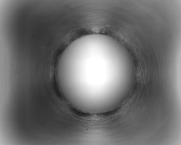 X0000089680656200706210815