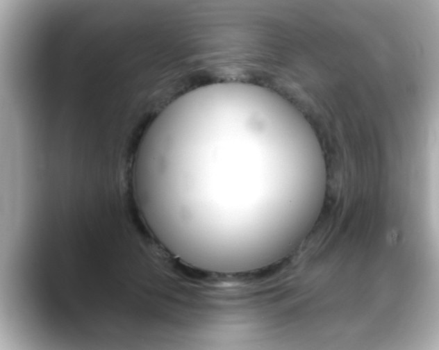 X0000089680658200706210815