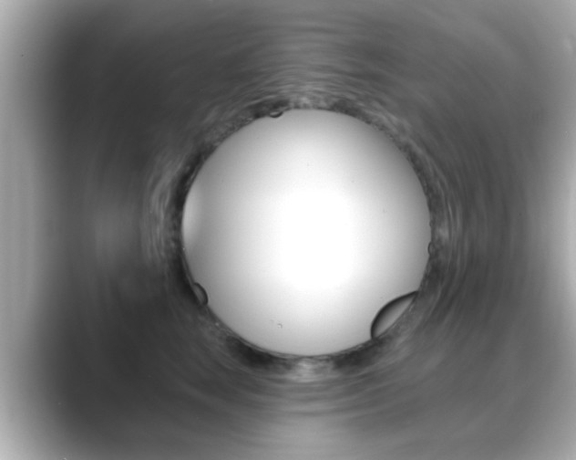 X0000089680663200706210815