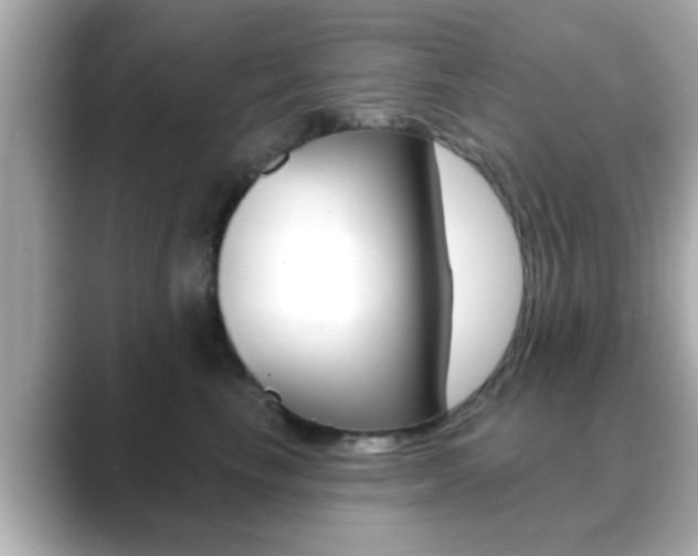 X0000089680665200706210815