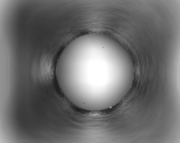 X0000089680668200706210815