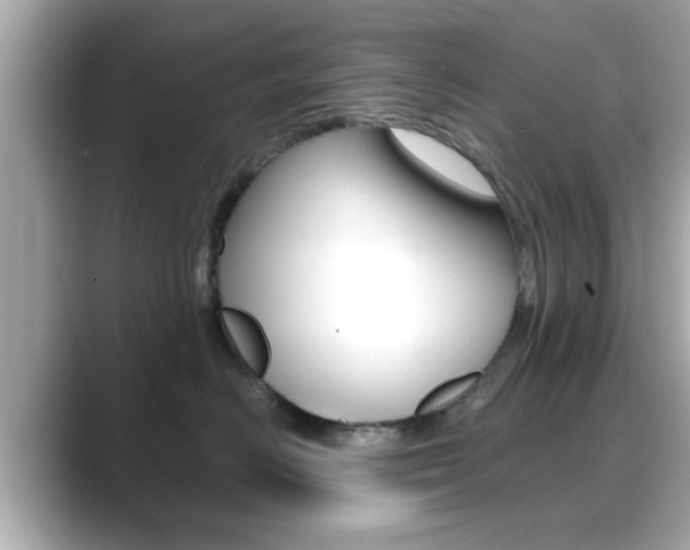 X0000089680670200706210815