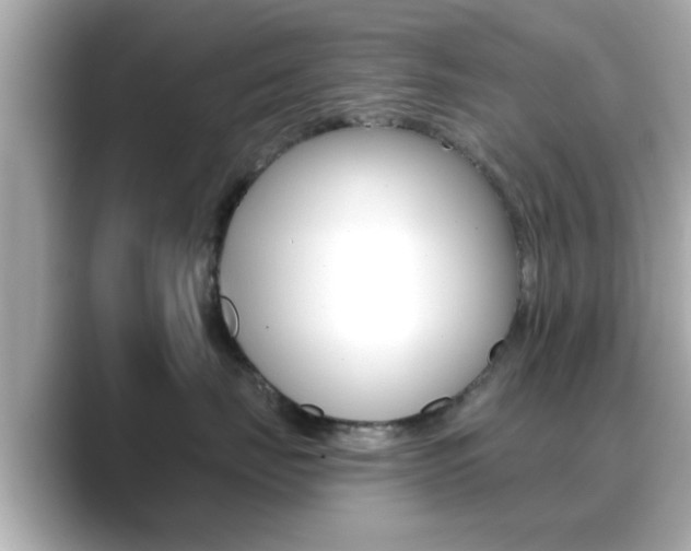 X0000089680671200706210815
