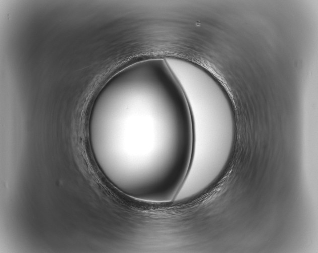 X0000089680673200706210814
