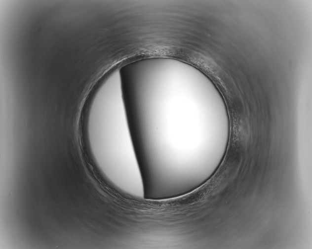 X0000089680674200706210814