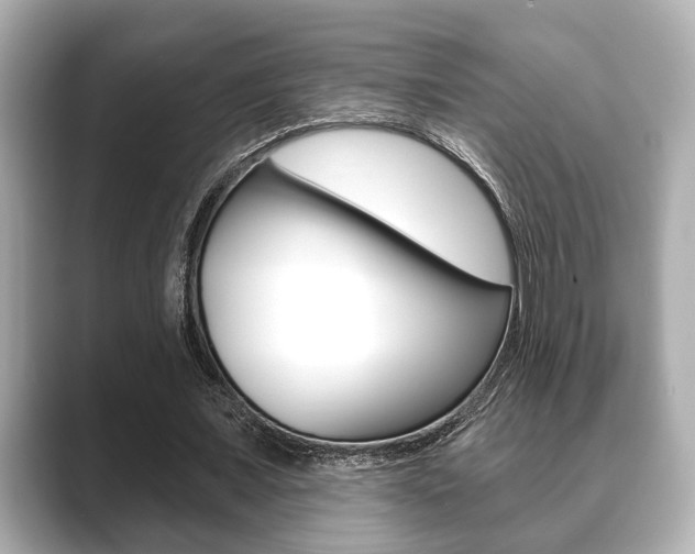 X0000089680675200706210814