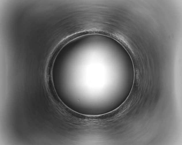 X0000089680676200706210814