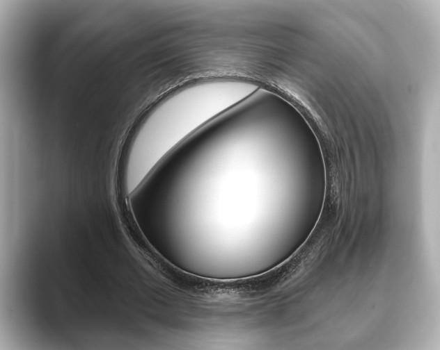 X0000089680677200706210814