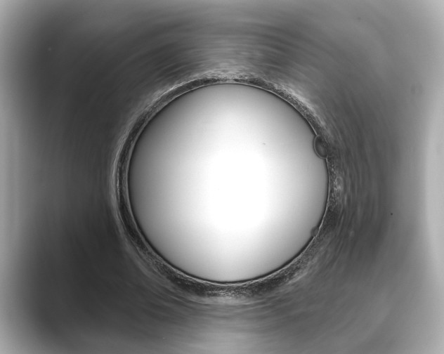 X0000089680678200706210814