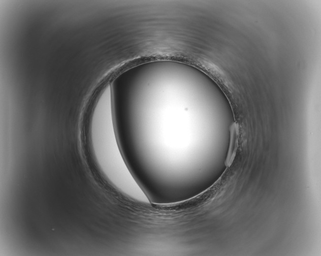 X0000089680680200706210814