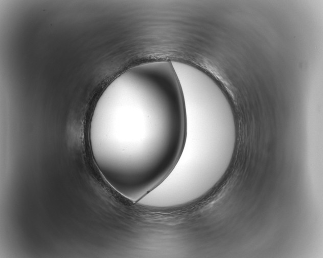 X0000089680681200706210814